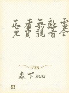 正者无敌电视剧免费观看全集