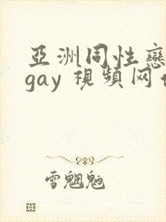 亚洲同性恋男 gay 视频网站