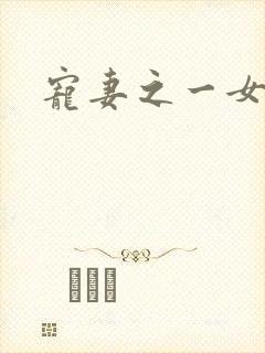 宠妻之一女二夫封面