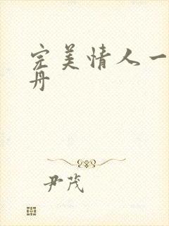 完美情人一叶孤舟封面