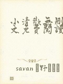 小清欢无删减全文免费阅读封面
