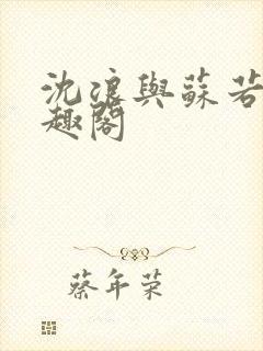 沈浪与苏若雪笔趣阁封面