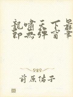 龙啸天下最新章节无弹窗笔趣阁