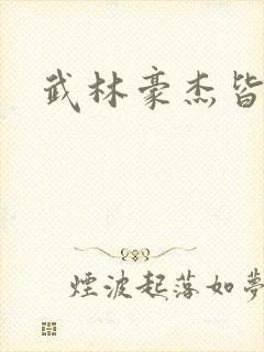 武林豪杰皆我奴封面