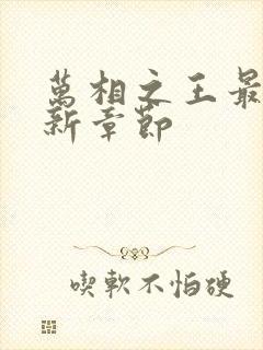 万相之王最近更新章节