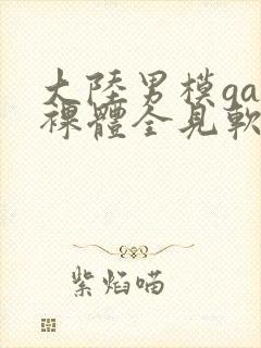 大陆男模gay裸体全见软件