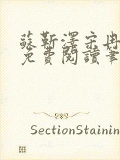 苏靳泽宋冉全文免费阅读笔趣阁