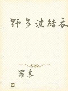 野多波结衣封面