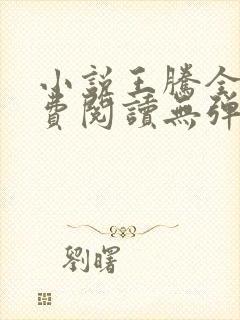 小说王腾全文免费阅读无弹窗