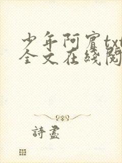 少年阿宾txt全文在线阅读