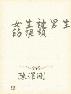 女生被男生操了的视频