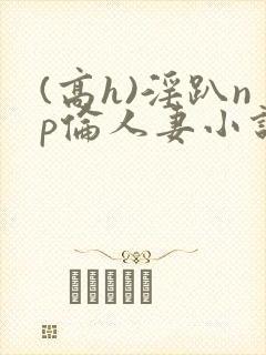 (高h)淫趴np伦人妻小说