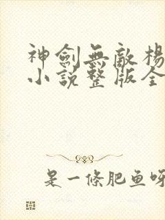 神剑无敌杨小天小说整版全文下载