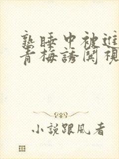 熟睡中被进了H青梅诱哄视频