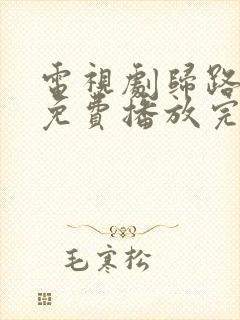 电视剧归路全集免费播放完整版高清