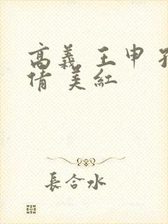 高义 王申 孙倩 美红