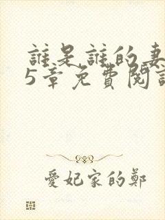 谁是谁的妻第15章免费阅读笔趣阁