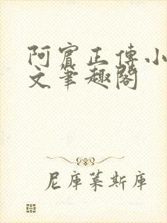 阿宾正传小说全文笔趣阁