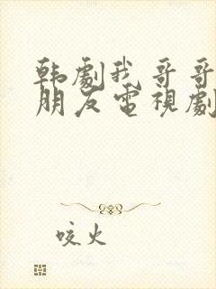 韩剧我哥哥的女朋友电视剧