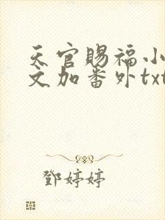 天官赐福小说全文加番外txt