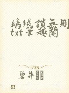 鹅绒锁无删减版txt笔趣阁