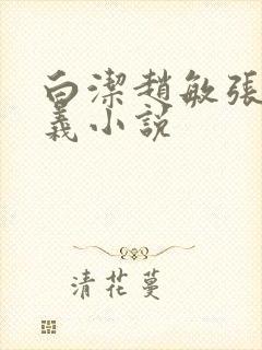 白洁赵敏张倩高义小说封面