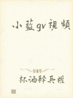 小蓝gv视频