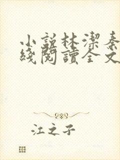 小说林洁秦齐在线阅读全文封面