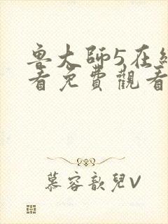 鲁大师5在线观看免费观看电视剧