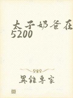 太子奶爸在花都5200封面