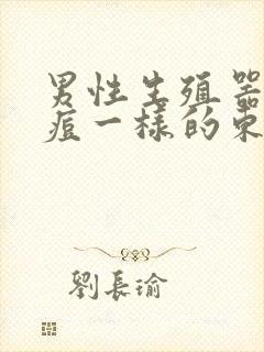 男性生殖器长痘痘一样的东西封面