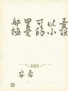 哪里可以看四方极爱的小说啊