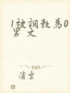 1被调教为0男男 文