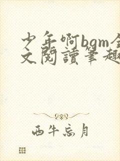 少年啊bgm全文阅读笔趣阁封面