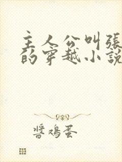 主人公叫张小凡的穿越小说封面