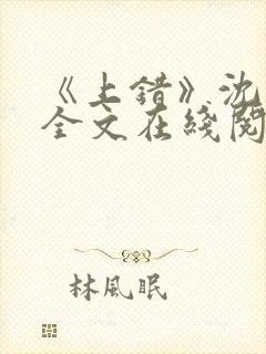 《上错》沈南初全文在线阅读笔趣阁