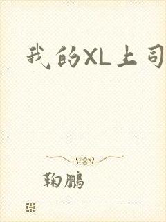 我的XL上司