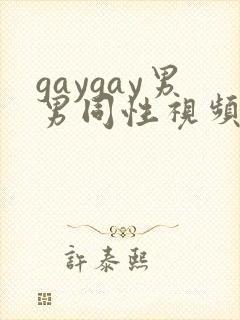 gaygay男男同性视频