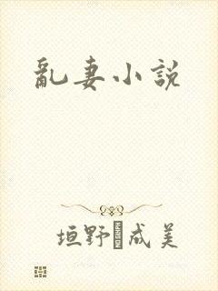 乱妻小说