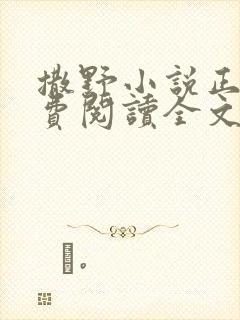 撒野小说正版免费阅读全文无弹窗封面