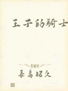 王子的骑士小说