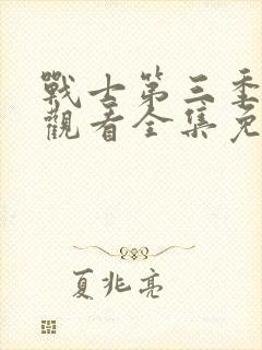 战士第三季在线观看全集免费播放