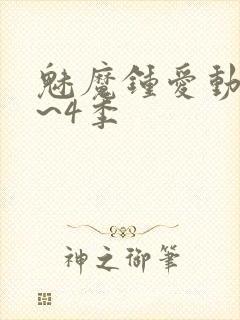 魅魔钟爱动漫1~4季