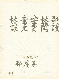 林意安林邵民小说免费阅读最新章节