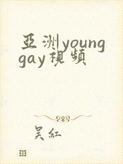 亚洲younggay视频