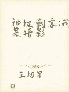 神级刺客:我即是暗影