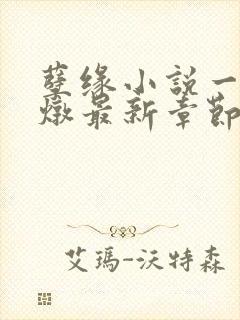 孽缘小说一家乱炖最新章节阅读