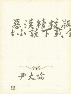 恶汉精校版txt小说下载全本