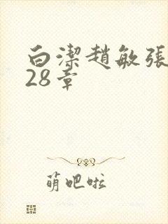 白洁赵敏张倩第28章