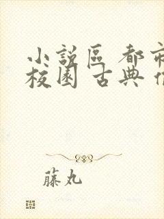 小说区 都市 校园 古典 偷拍